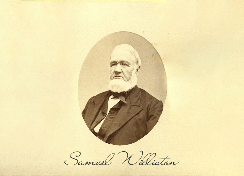 Samuel Williston Portrait